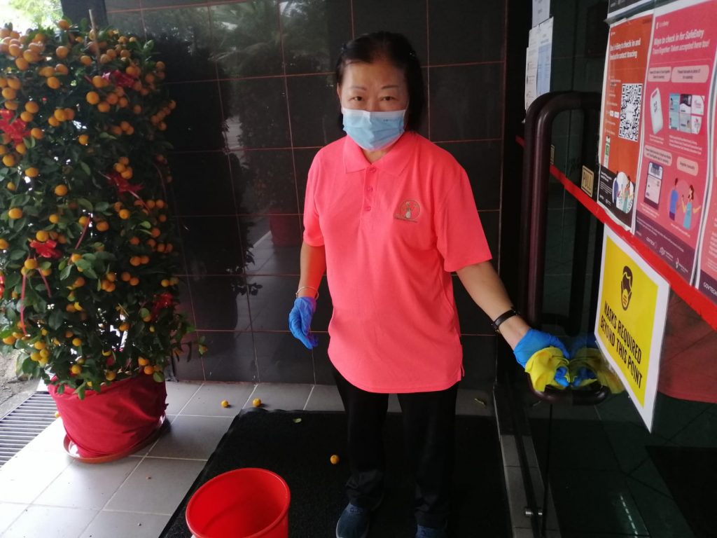 WhatsApp Image 2021-03-03 at 10.52.42 PM