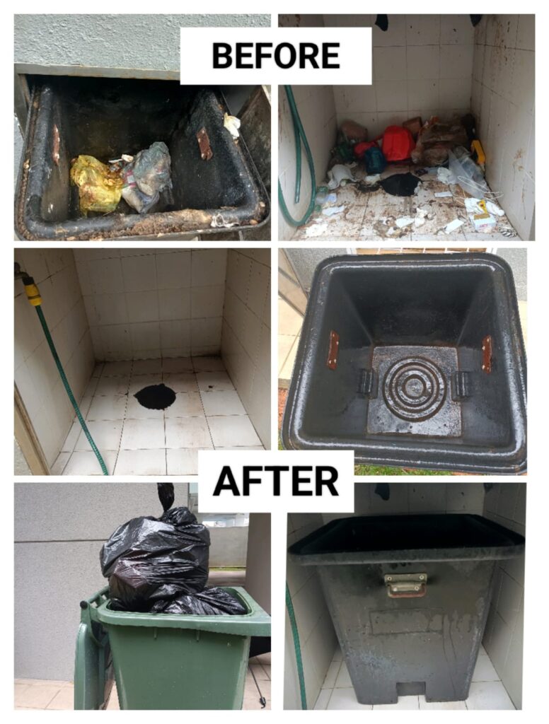 Before_After_Cleaning